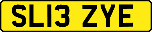 SL13ZYE