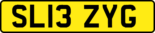 SL13ZYG