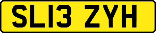 SL13ZYH