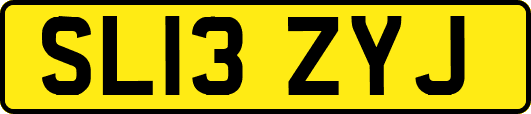 SL13ZYJ