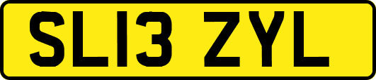 SL13ZYL