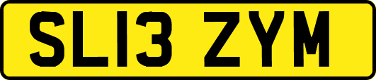 SL13ZYM