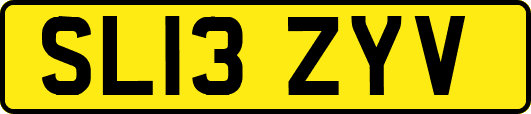 SL13ZYV