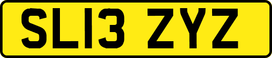 SL13ZYZ