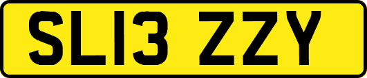 SL13ZZY