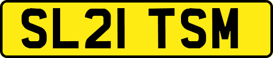SL21TSM