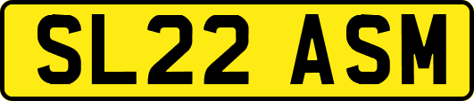 SL22ASM