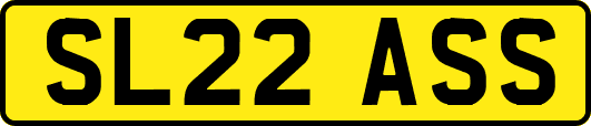 SL22ASS
