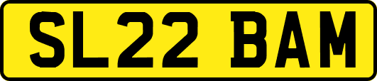 SL22BAM