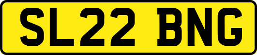 SL22BNG