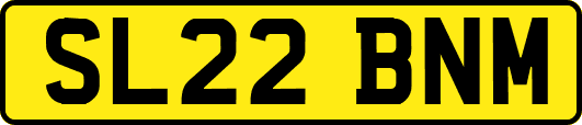 SL22BNM