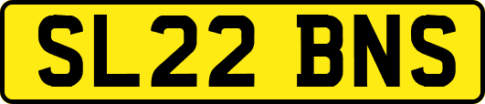 SL22BNS