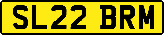 SL22BRM