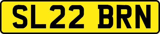 SL22BRN