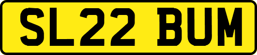 SL22BUM