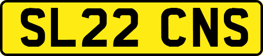 SL22CNS