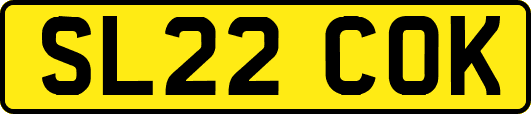 SL22COK