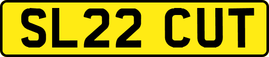 SL22CUT