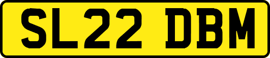 SL22DBM