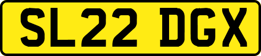SL22DGX