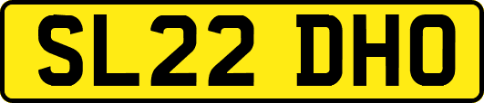 SL22DHO
