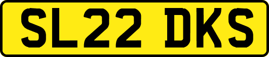 SL22DKS