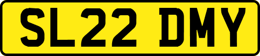 SL22DMY
