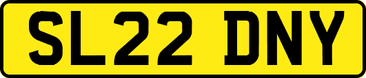 SL22DNY