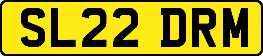 SL22DRM
