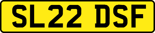 SL22DSF