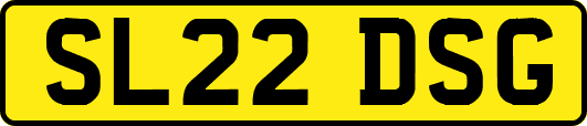 SL22DSG