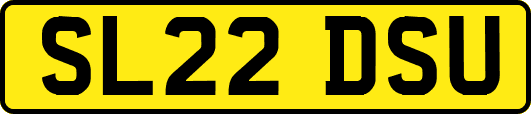 SL22DSU