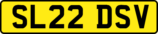 SL22DSV