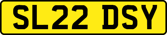 SL22DSY