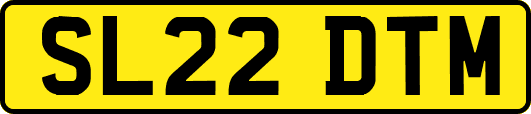 SL22DTM