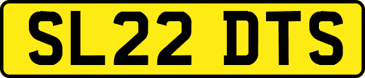 SL22DTS