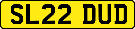 SL22DUD