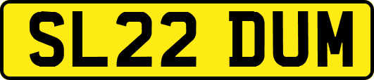 SL22DUM