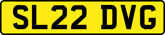 SL22DVG