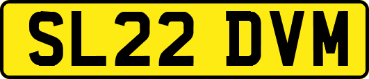 SL22DVM