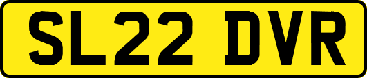 SL22DVR