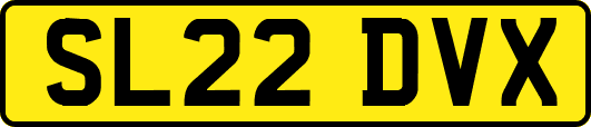 SL22DVX