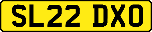 SL22DXO