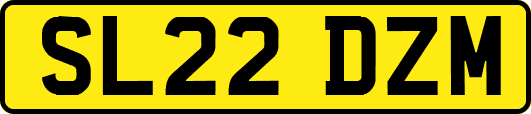 SL22DZM