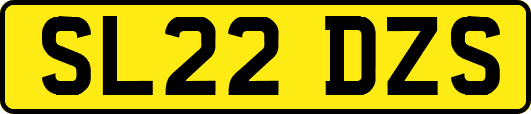 SL22DZS