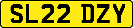 SL22DZY