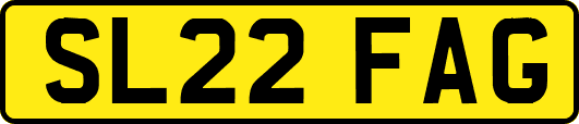 SL22FAG