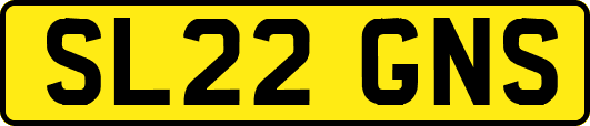 SL22GNS