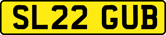 SL22GUB
