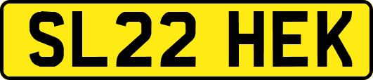 SL22HEK